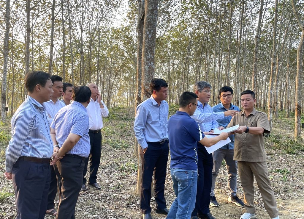 Tỉnh Điện Biên chấp thuận chủ trương đầu tư Nhà máy chế biến mủ Cao su Điện Biên
